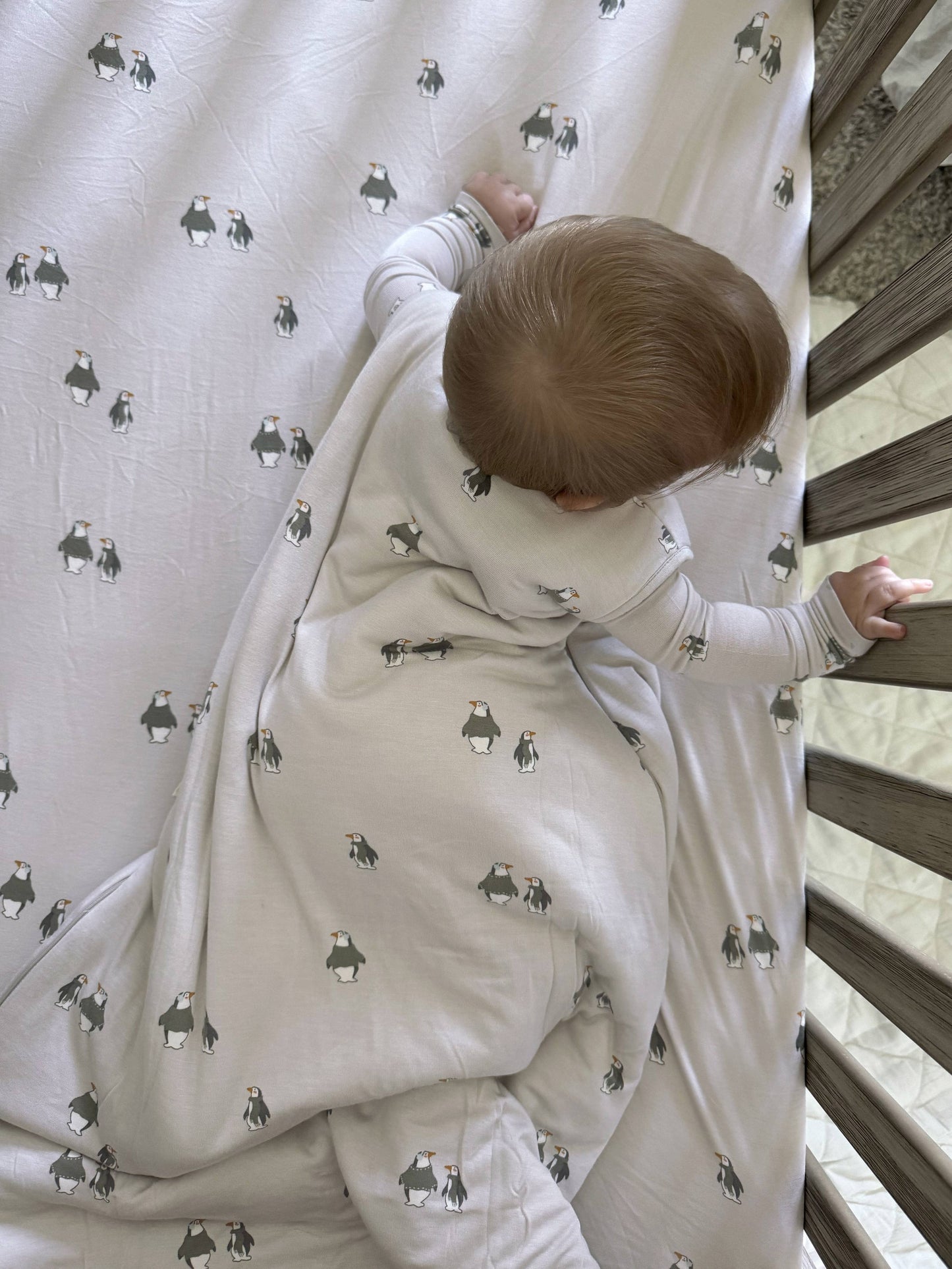 gunamuna - SLEEP BAG 2.5 TOG: Forest / 9-18 months / 2.5