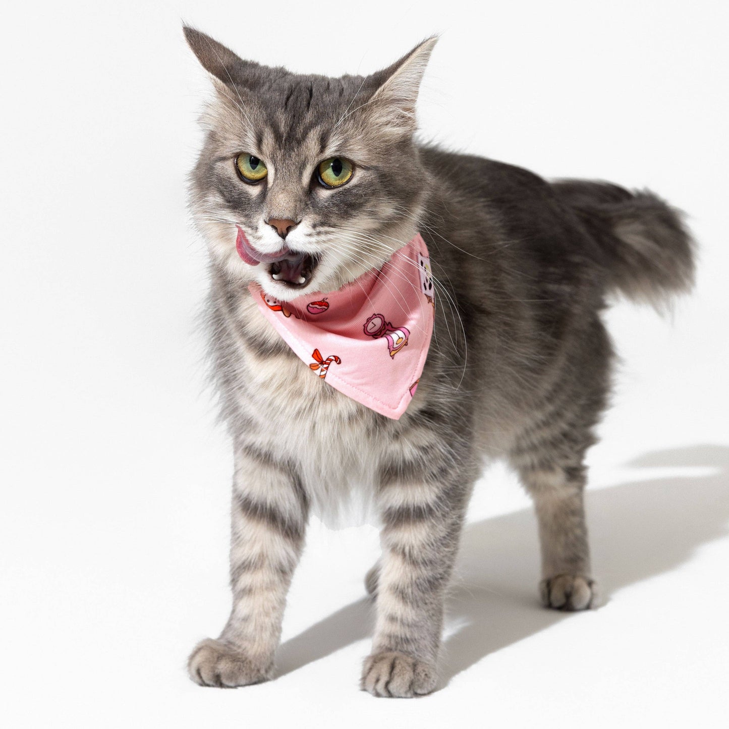 Bellabu Bear - Santa's Workshop Bamboo Matching Pet Bandana: M/L