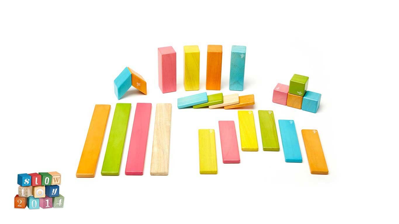 Tegu - 24 Piece Magnetic Wooden Block Set: Tints