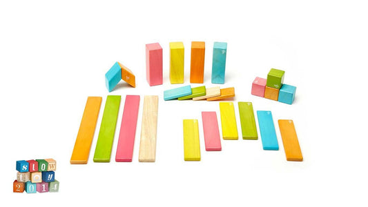 Tegu - 24 Piece Magnetic Wooden Block Set: Tints